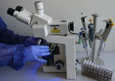 Kadr zdjęcia z laboratorium - dłonie laboranta spoczywają na mikroskopie, obok którego jest stojak z wypełnionymi probówkami.
