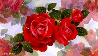 Zdjęcie przedstawia kwiat czerwonej róży sfotografowany z góry.